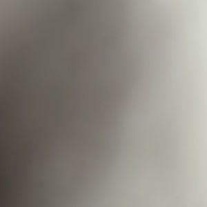 COPY - Brahmin Hallie Satchel